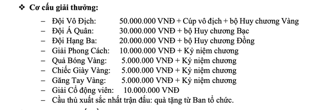 16 đội dự giải bóng đá sinh viên ĐH Quốc gia TP.HCM mở rộng THACO Cup 2026- Ảnh 5.