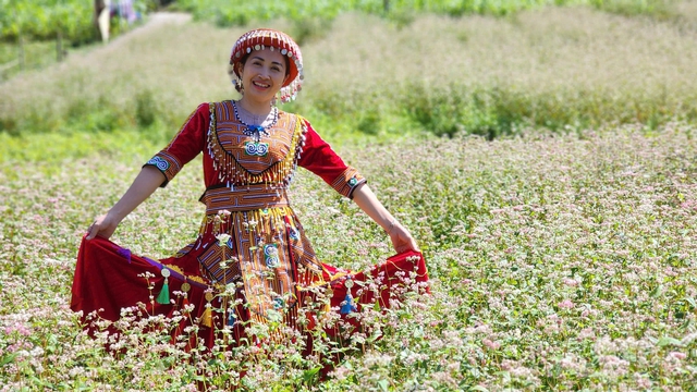 400 ha hoa tam giác mạch cùng nở rộ trên cao nguyên đá
- Ảnh 1.