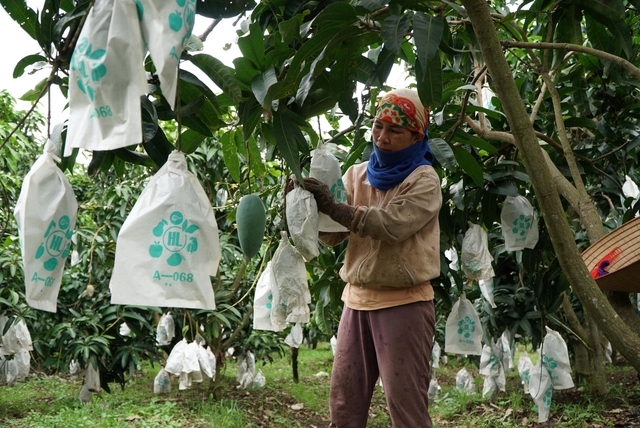 Phát hiện nhiều sai phạm hành chính tại 3 xã Đắk Mil, Cư Jút và Kiến Đức - Ảnh 1.