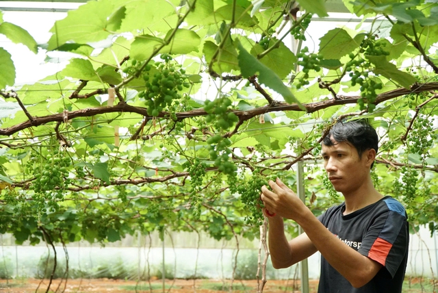 Phát hiện nhiều sai phạm hành chính tại 3 xã Đắk Mil, Cư Jút và Kiến Đức - Ảnh 2.