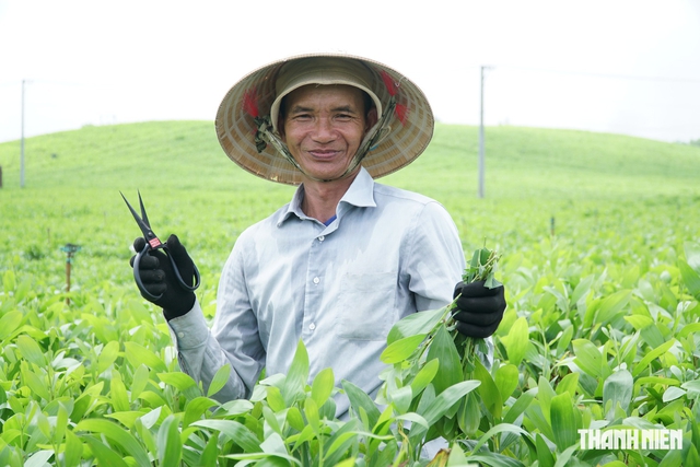Ph&oacute;ng sự ảnh: Nghề cắt hom tr&agrave;m ven thủy điện Trị An - Ảnh 5.
