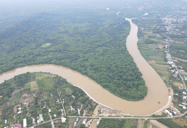 Vườn quốc gia C&aacute;t Ti&ecirc;n sắp c&oacute; th&ecirc;m 10.000 ha từ C&ocirc;ng ty l&acirc;m nghiệp La Ng&agrave;- Ảnh 2.