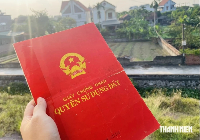Cách chia thừa kế nhà đất cho cháu nội, cháu ngoại khi cha mẹ mất trước ôngbà - Ảnh 1.