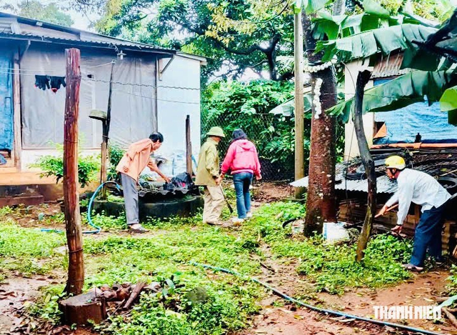 Trên 9.000 ca mắc sốt xuất huyết tại Gia Lai, 1 người tử vong - Ảnh 2.