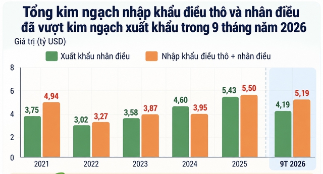 Xuất khẩu nhiều nhất thế giới, vì sao ngành điều Việt Nam vẫn bị ép giá?- Ảnh 2.