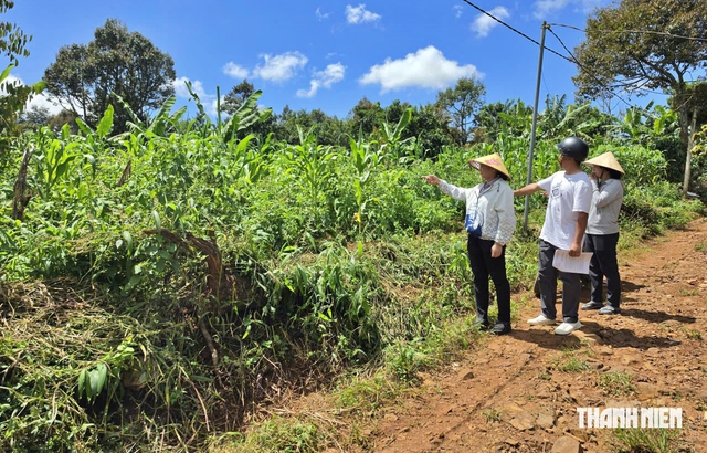 V&igrave; sao người d&acirc;n khiếu nại gi&aacute; bồi thường đất cao tốc Bảo Lộc - Li&ecirc;n Khương? - Ảnh 3.