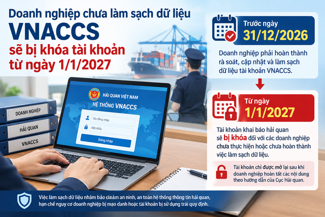 Doanh nghiệp chưa làm sạch dữ liệu hải quan sẽ bị khóa tài khoản từ ngày 1.1.2027- Ảnh 1.