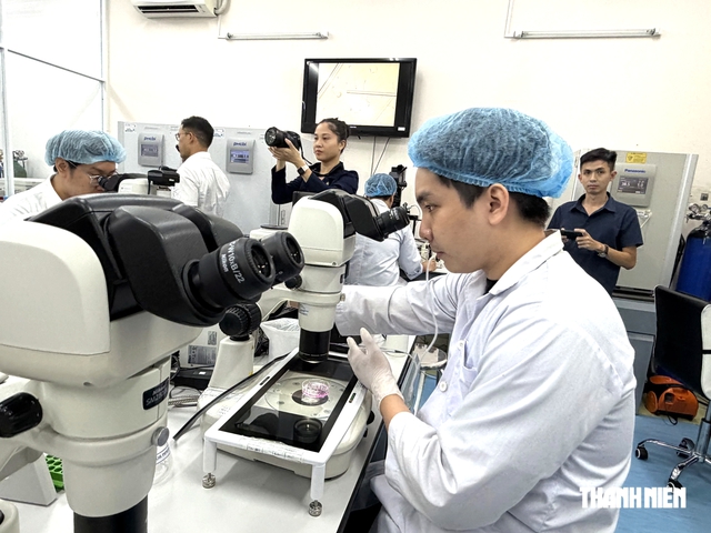 Trường ĐH được tham gia giới thiệu, tiến cử nhân tài - Ảnh 1.