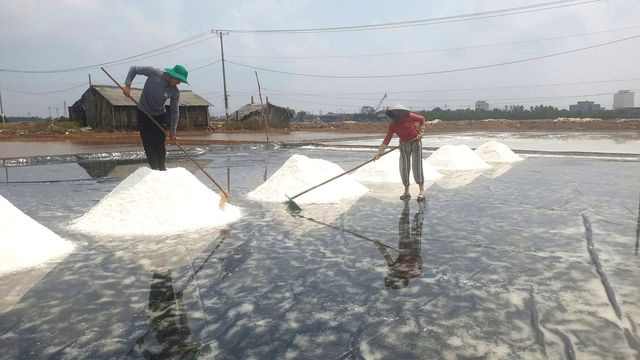 Cà Mau tìm hướng tăng thu nhập cho diêm dân- Ảnh 1.