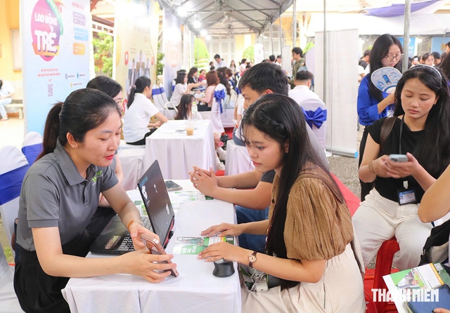 Gửi hàng trăm CV để tìm việc, vì sao người trẻ vẫn loay hoay? - Ảnh 1.