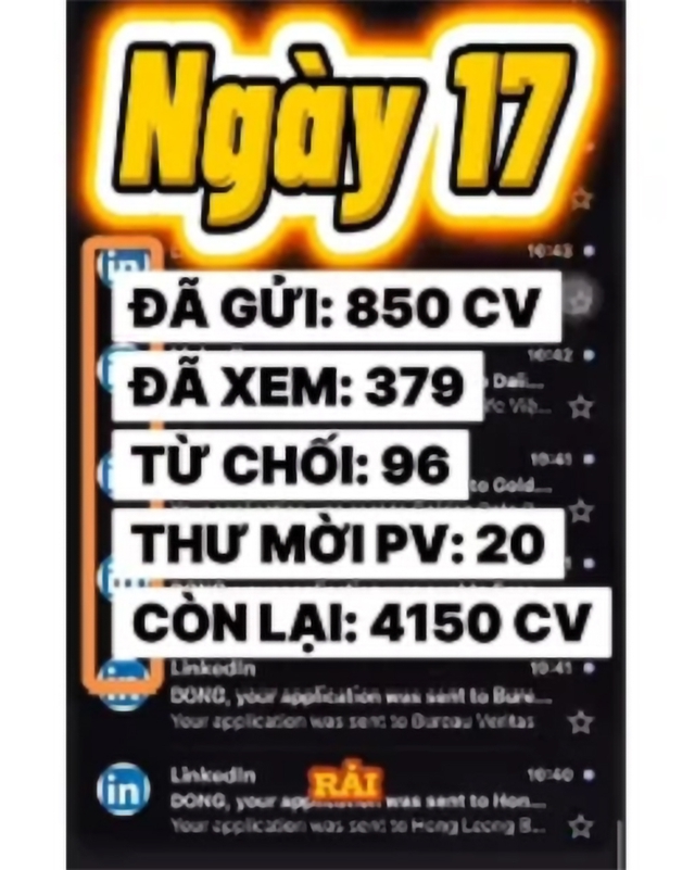 Gửi hàng trăm CV để tìm việc, vì sao người trẻ vẫn loay hoay? - Ảnh 2.