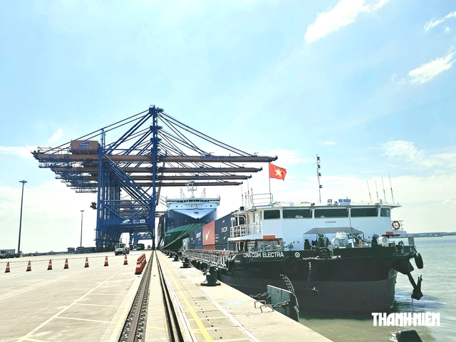 S&agrave; lan điện đầu ti&ecirc;n của Việt Nam vận h&agrave;nh tại TP.HCM, c&oacute; g&igrave; đặc biệt?- Ảnh 1.