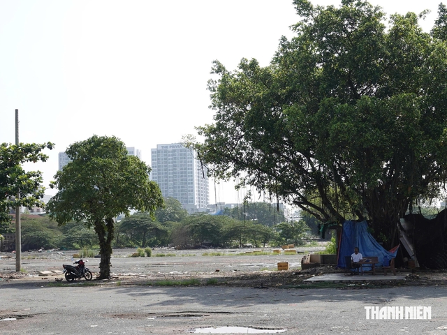 TP.HCM quyết định thu hồi 171 cơ sở nhà đất công - Ảnh 1.
