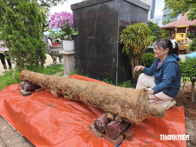 Bộ súng thần công thành Điện Hải chờ đánh thức- Ảnh 1.