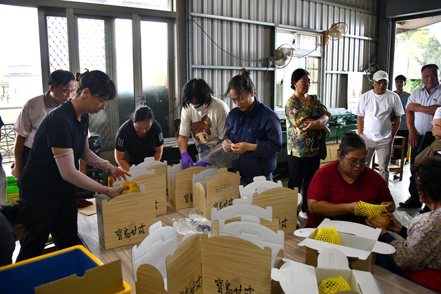 Nông dân Việt nơi vùng lê xứ Đài- Ảnh 15.