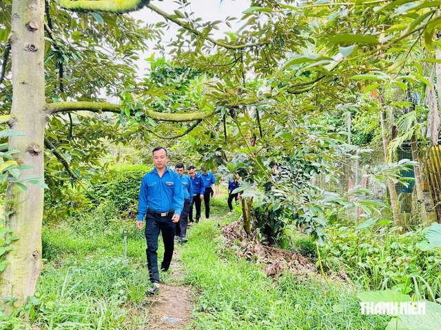 B&iacute; thư chi đo&agrave;n ấp khởi nghiệp với c&acirc;y sầu ri&ecirc;ng 'kh&oacute; t&iacute;nh'  - Ảnh 1.
