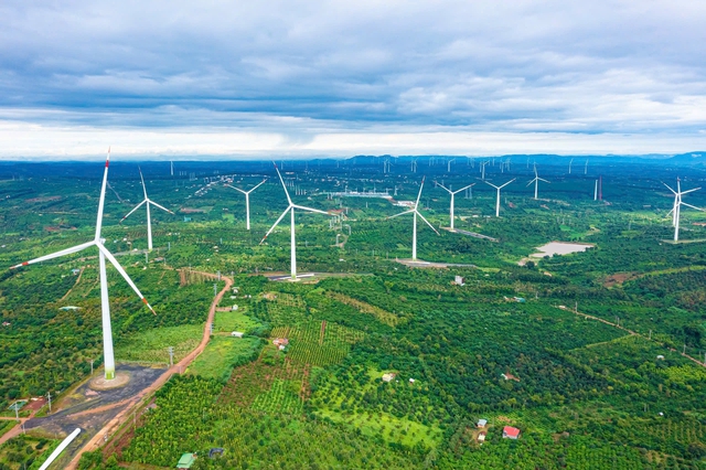 Đắk Lắk có thêm nhà máy điện gió công suất 77MW, dự kiến khai thác quý 4/2028- Ảnh 1.