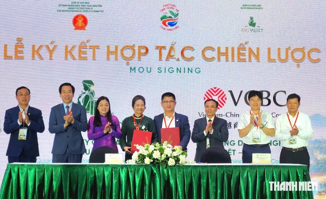 Trà Thái Nguyên lên sàn Tiktok Nhật Bản, dự triển lãm lớn nhất Trung Quốc - Ảnh 2.
