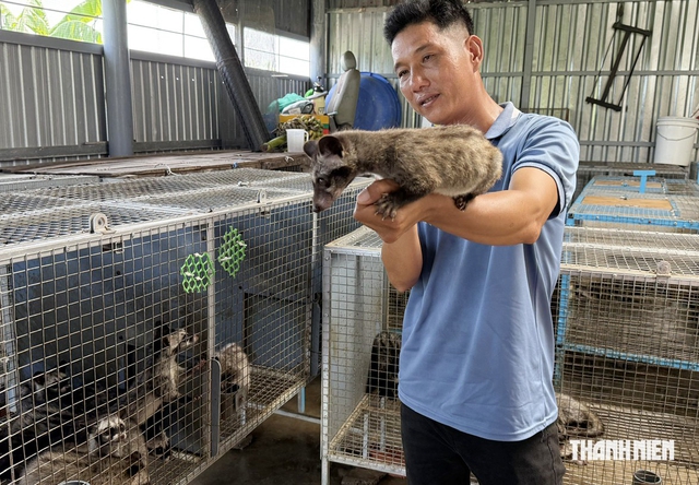 Từ l&aacute;i xe thu&ecirc; đến trại nu&ocirc;i chồn hương - Ảnh 1.
