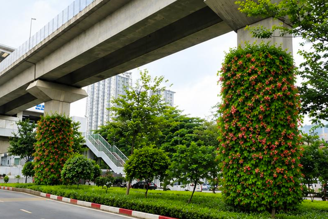 Hà Nội thí điểm trồng cây phủ xanh trụ cầu đường sắt, hầm chui - Ảnh 1.