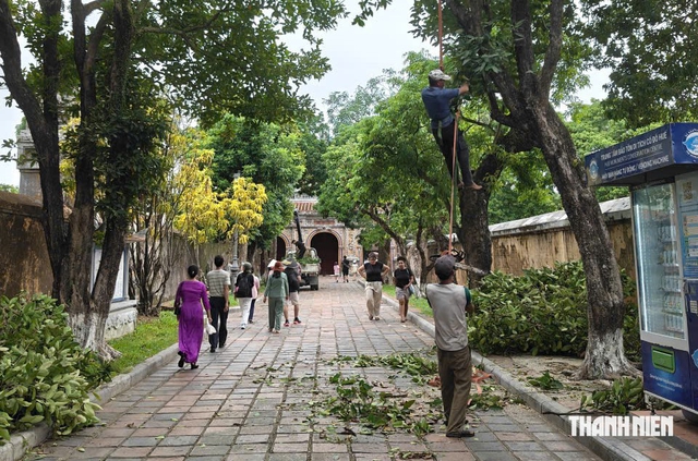 Một phường ở Huế l&ecirc;n phương &aacute;n di dời d&acirc;n trước dự b&aacute;o mưa lớn - Ảnh 4.