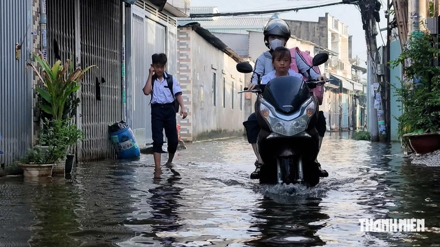 Trường ở TP.HCM không bắt buộc mặc áo dài, mang giày bata ngày mưa, ngập- Ảnh 1.