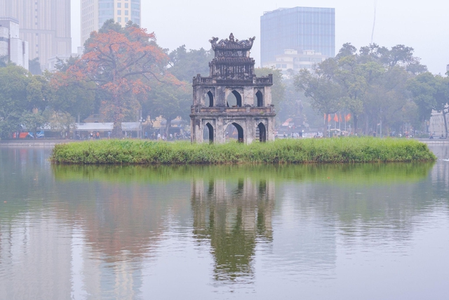 Rare Collection: Những ‘tác phẩm nghệ thuật’ sống giữa lòng Hà Nội - Ảnh 1.