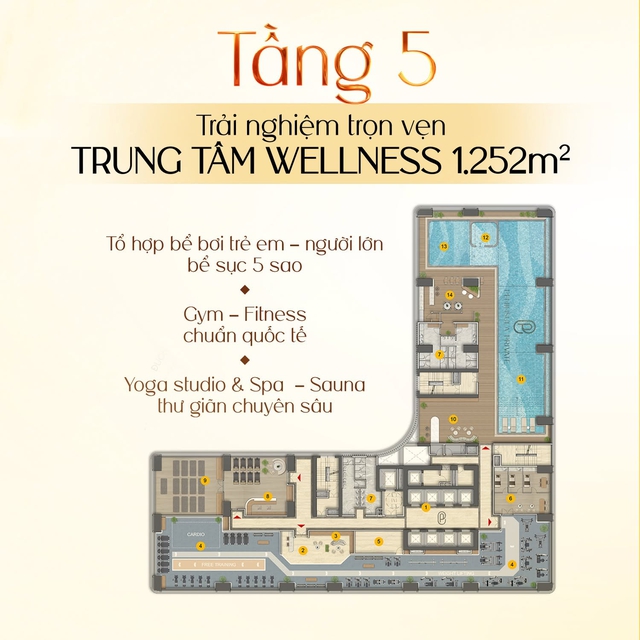 Peninsula Private - T&ograve;a th&aacute;p lưu tr&uacute; v&agrave; điểm đến giữa l&ograve;ng Da Nang Downtown - Ảnh 2.