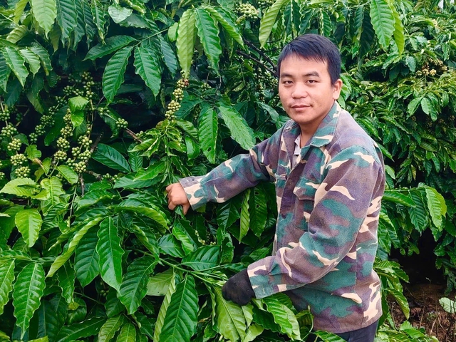 Ch&agrave;ng trai người M&ocirc;ng được ba mẹ cho 1ha tạo sinh kế hỗ b&agrave; con bản l&agrave;ng - Ảnh 1.