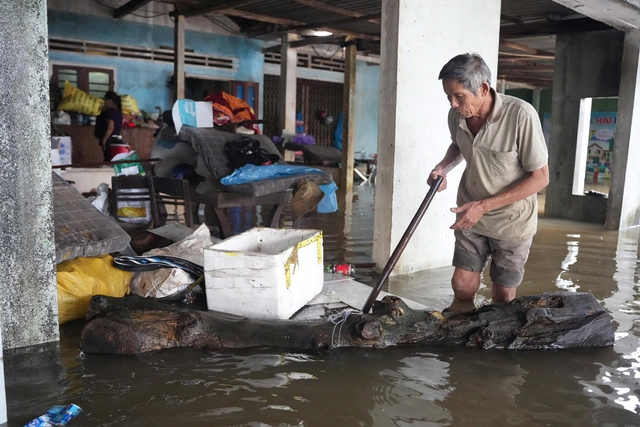 Khu dân cư ngập sâu, người dân đưa đàn heo đến nơi an toàn - Ảnh 9.