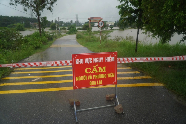 Khu dân cư ngập sâu, người dân đưa đàn heo đến nơi an toàn - Ảnh 8.