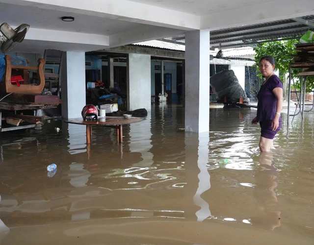 Khu dân cư ngập sâu, người dân đưa đàn heo đến nơi an toàn - Ảnh 1.