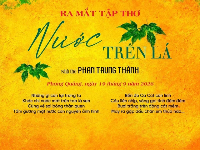 'Bươi trăng trên động cát mềm'…- Ảnh 1.