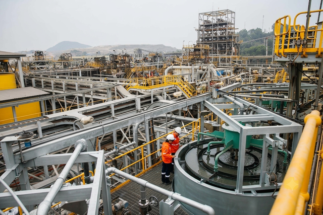 MSR dự kiến phân phối toàn bộ lợi nhuận 2026 bằng tiền mặt- Ảnh 2.