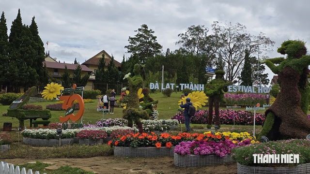 Festival Hoa Đ&agrave; Lạt 2026 sắc hoa h&ograve;a c&ugrave;ng &acirc;m nhạc - Ảnh 3.