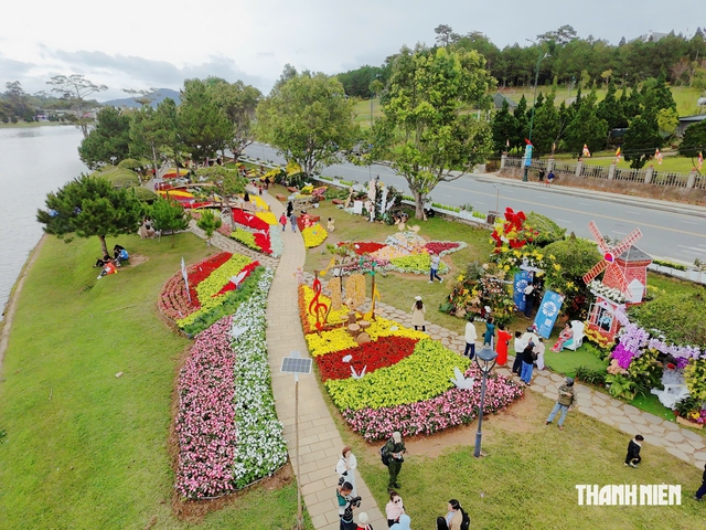 Festival Hoa Đ&agrave; Lạt 2026 sắc hoa h&ograve;a c&ugrave;ng &acirc;m nhạc - Ảnh 1.