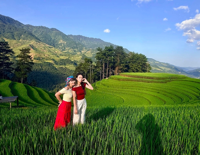 Sẽ phối hợp liên ngành để siết quản lý phim AI trên không gian mạng - Ảnh 3.