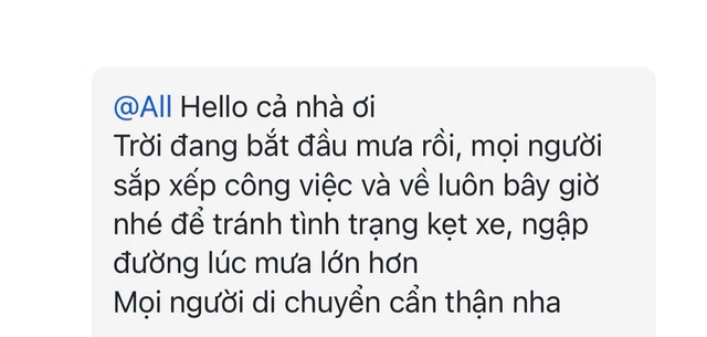 Mưa lớn ở TP.HCM: Nhân viên 'ấm lòng' vì công ty cho về sớm, làm tại nhà - Ảnh 3.