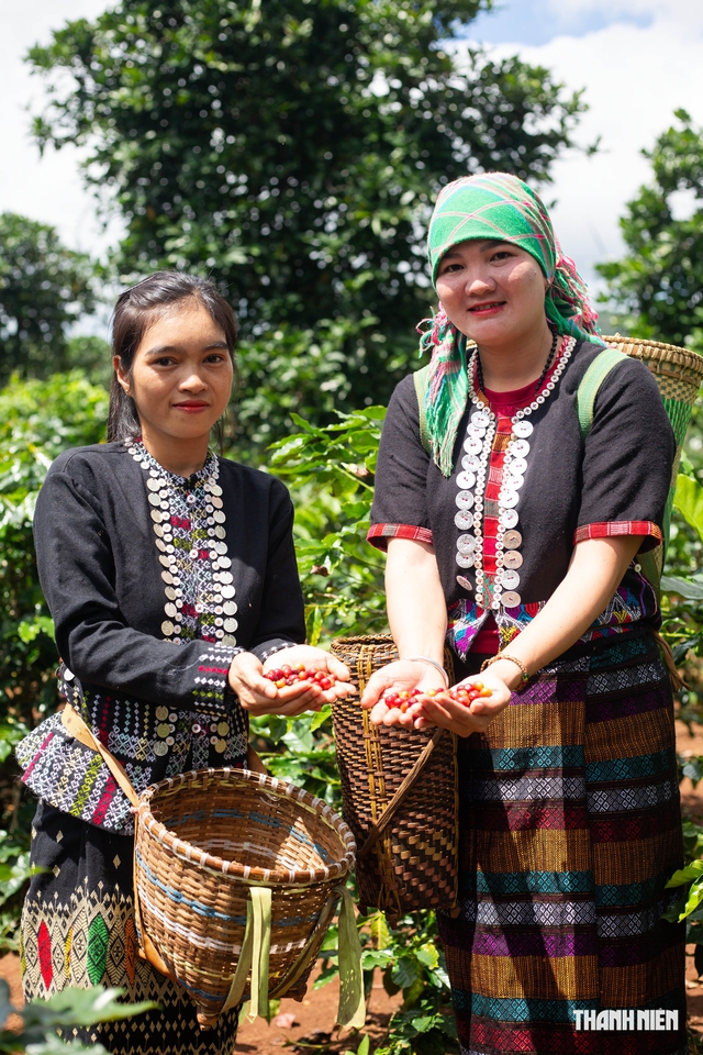 Loại hạt l&agrave;m đổi thay v&ugrave;ng đất - Ảnh 1.