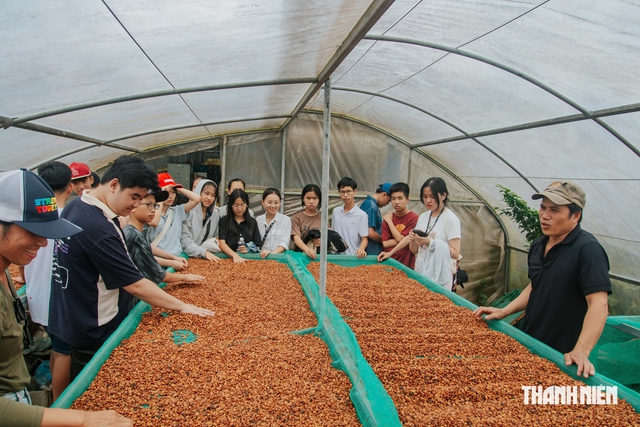 Loại hạt l&agrave;m đổi thay v&ugrave;ng đất - Ảnh 4.