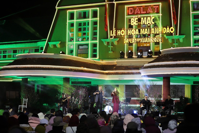 Mùa hoa mai anh đào Đà Lạt xuân 2026 đẹp chưa từng có- Ảnh 6. Mùa hoa mai anh đào Đà Lạt xuân 2026 đẹp chưa từng có- Ảnh 6.