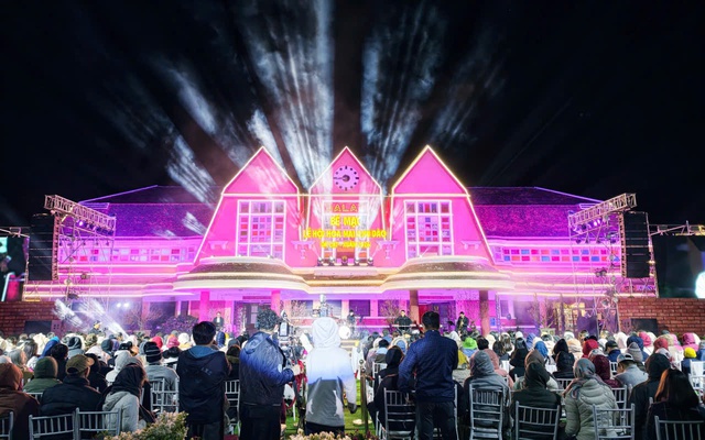 Mùa hoa mai anh đào Đà Lạt xuân 2026 đẹp chưa từng có- Ảnh 8. Mùa hoa mai anh đào Đà Lạt xuân 2026 đẹp chưa từng có- Ảnh 8.