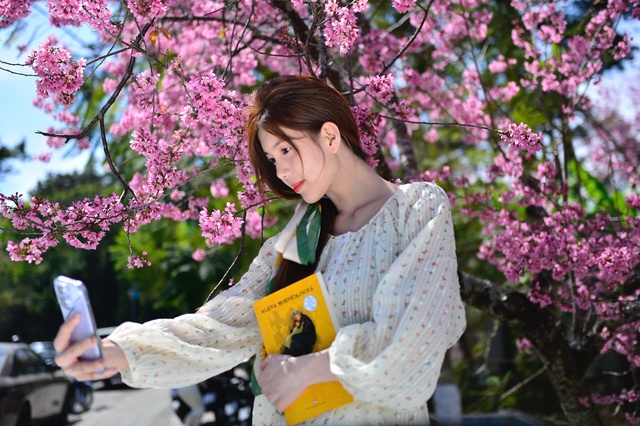 Mùa hoa mai anh đào Đà Lạt xuân 2026 đẹp chưa từng có- Ảnh 5. Mùa hoa mai anh đào Đà Lạt xuân 2026 đẹp chưa từng có- Ảnh 5.