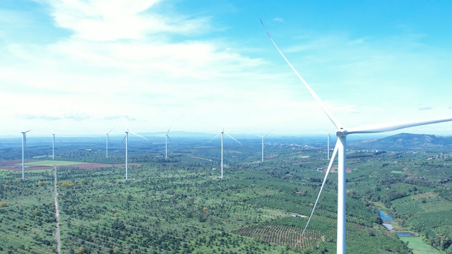 - Ảnh 2. - Ảnh 2.