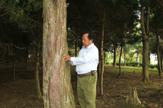 T&aacute;i sinh b&aacute;u vật rừng xanh- Ảnh 3.