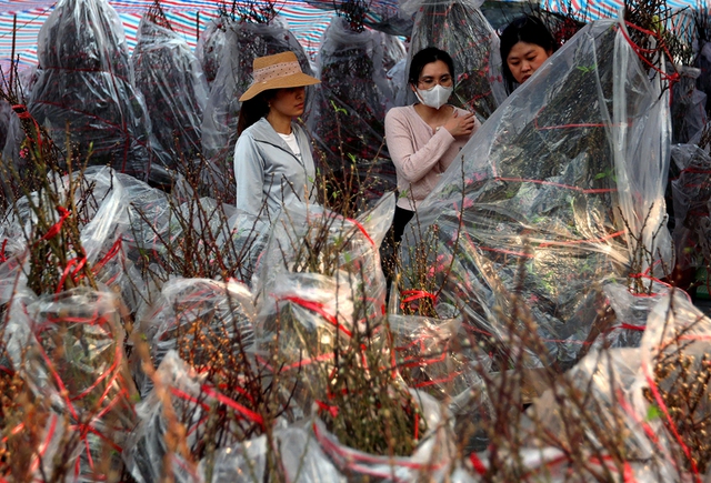 Nh&agrave; vườn chờ sức mua khởi sắc cận tết- Ảnh 2.