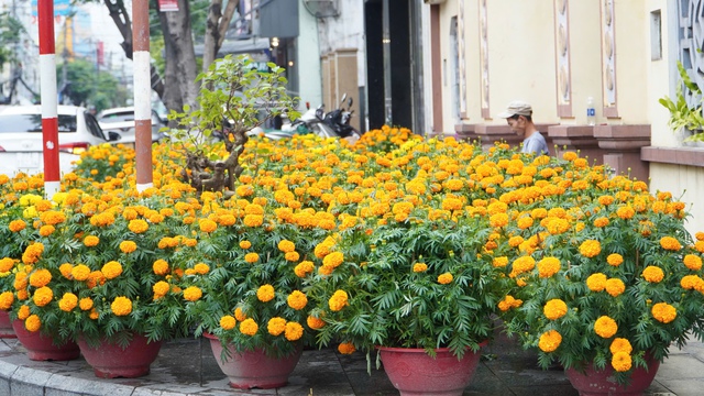 B&ocirc;ng thọ - m&ugrave;i vị tết qu&ecirc; - Ảnh 3.