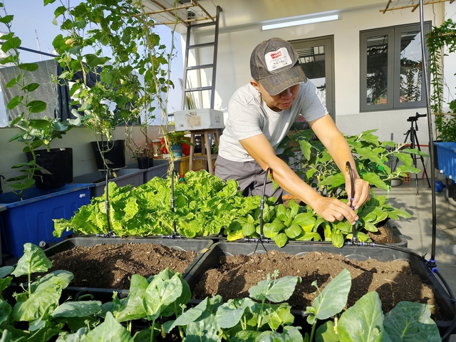 - Ảnh 2. - Ảnh 2.