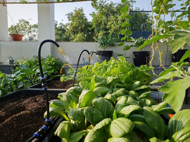 - Ảnh 3. - Ảnh 3.