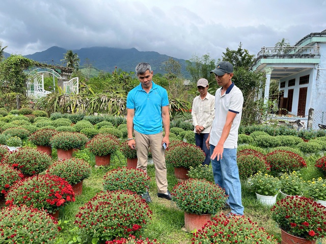 Hoa thơm nở tr&ecirc;n đất kh&oacute; ở Quảng Ng&atilde;i- Ảnh 2.